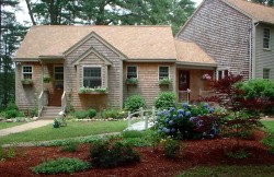 The Cottage in Summer Bloom